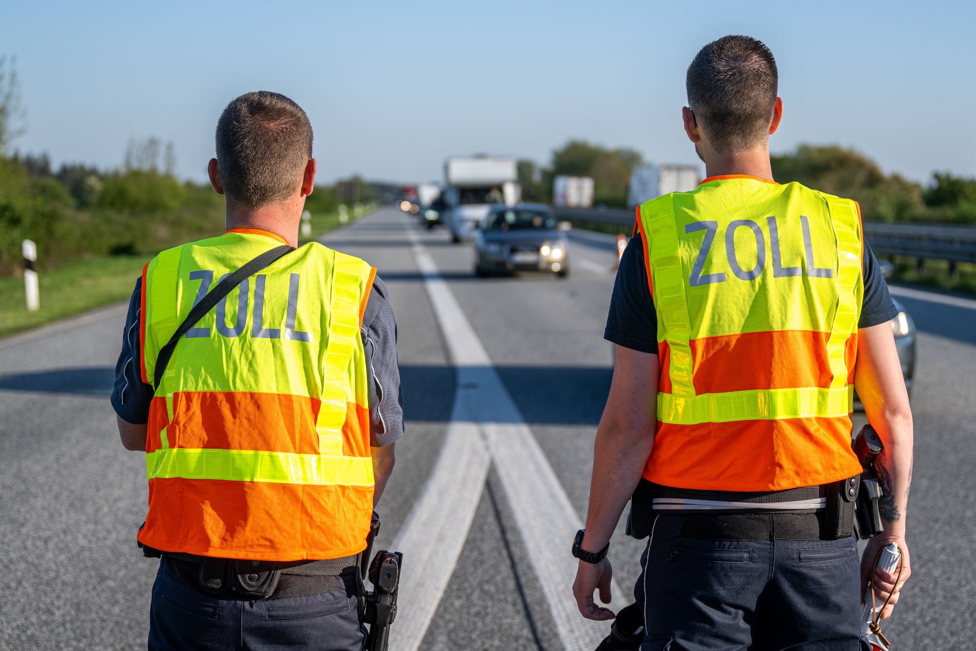 Zoll Sachgebiete